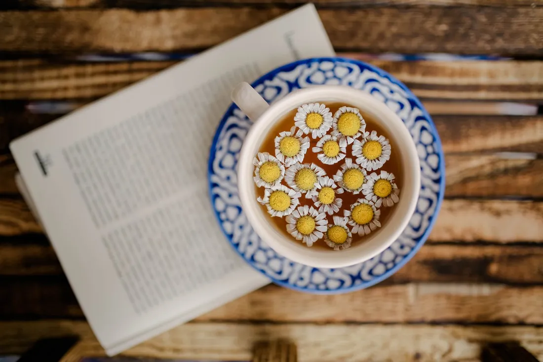 Natural sleep ritual: chamomile tea in a decorative cup beside an open book